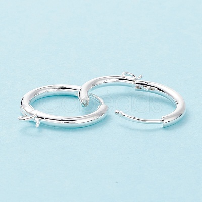 201 Stainless Steel Huggie Hoop Earring Findings STAS-P283-01R-S-1