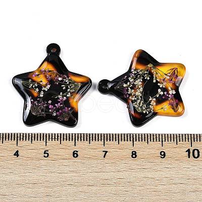 Epoxy Resin Pendants RESI-S09-01C-RS-1