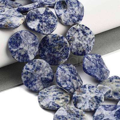 Natural Blue Spot Jasper Beads Strands G-Z061-B07-02-1