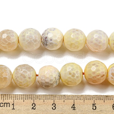 Faceted Natural Fire Crackle Agate Beads Strands G-F447-12mm-H02-1