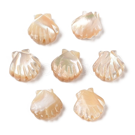 Natural Trochus Shell Carved Beads SHEL-P017-08A-1