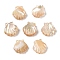 Natural Trochus Shell Carved Beads, Shell Shape, Seashell Color, 11x10x3.5mm, Hole: 0.8mm