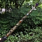 Natural Amethyst Merkaba Star Wands, Fairy Sticks, with Built-in Battery Led Light, Angel Sword Cross, 360x30mm