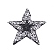 Glitter Hotfix Rhinestone, Iron on Patches, Dress Shoes Garment Decoration, Star, Crystal, 77x82x2.5mm