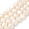 Natural Cultured Freshwater Pearl Beads Strands, Two Sides Polished, Floral White, 8~9mm, Hole: 0.5mm, about 23pcs/strand, 6.89''(17.5cm)