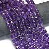 Natural Amethyst Beads Strands G-K389-A16-01-2