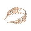 Fashionable Iron Hair Band Findings OHAR-T008-01KCG-3