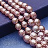 Natural Cultured Freshwater Pearl Graduated Beads Strands PEAR-P060-05C-01-1