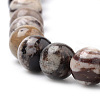 Natural Zebra Jasper Beads Strands G-S259-30-10mm-3