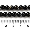 Natural Golden Sheen Obsidian Beads Strands G-C068-6mm-9-3