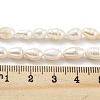 Natural Keshi Pearl Cultured Freshwater Pearl Beads Strands PEAR-P062-34-5