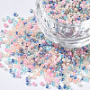 Glass Round Seed Beads SEED-S057-R-006-1