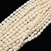 Grade B Natural Cultured Freshwater Pearl Beads Strands X-PEAR-L001-F-20-1