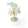 Natural Green Aventurine Chips with Brass Wrapped Wire Money Tree on Ceramic Vase Display Decorations DJEW-B007-02A-3