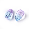 Transparent Glass Charms GLAA-H016-12L-2