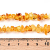 Natural Amber Beads Strands G-T138-235A-4