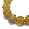 Natural Apatite Beads Strands G-G927-09-3