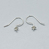 925 Sterling Silver Earring Hooks STER-T002-171S-2