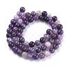 Natural Lepidolite/Purple Mica Stone Beads Strands G-K415-6mm-3