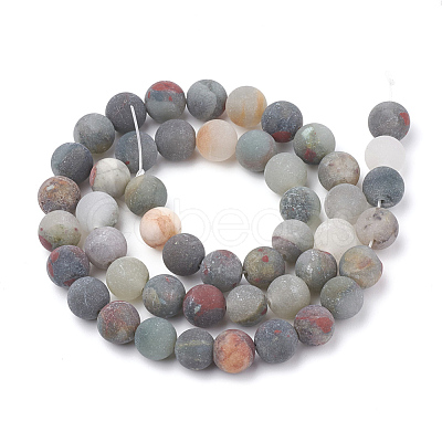 Natural African Bloodstone Beads Strands G-T106-153-1