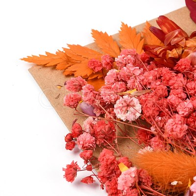 Dried Flower DIY-B018-06-1