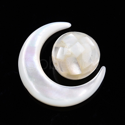 Natural White Shell Beads Set SSHEL-N032-51-B01-1