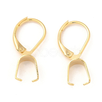 304 Stainless Steel Leverback Earring Findings STAS-U025-01G-02-1