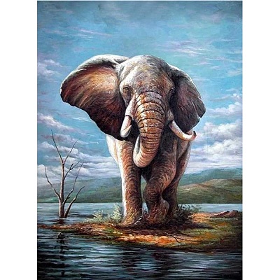 5D DIY Diamond Painting Animals Canvas Kits DIY-C004-08-1