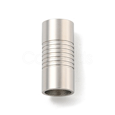 Tarnish Resistant 304 Stainless Steel Magnetic Clasps with Glue-in Ends STAS-F149-04P-D-1