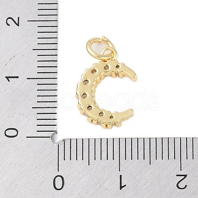 Rack Plating Brass Micro Pave Clear Cubic Zirconia Charms KK-Z060-09G-02-1