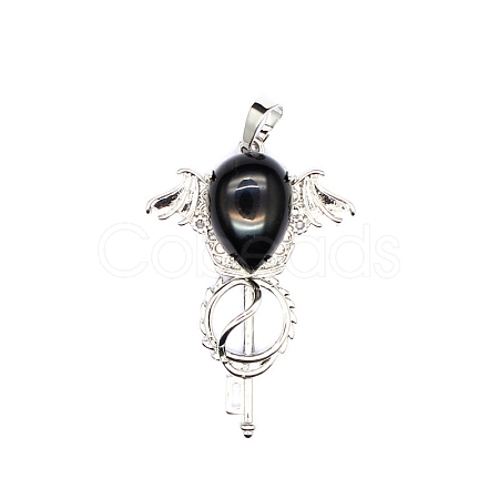 Natural Obsidian Teardrop Pendants PW-WG60016-06-1