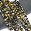 Natural Tiger Eye Beads Strands G-K389-E50-01-2