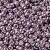 TOHO Round Seed Beads X-SEED-TR08-0554-2