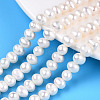 Natural Cultured Freshwater Pearl Beads Strands PEAR-N013-06V-1