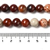 Natural Red Snakeskin Jasper Beads Strands G-H298-A02-04-5