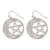 Tarnish Resistant 304 Stainless Steel Dangle Earrings for Women EJEW-F338-04P-01-1