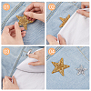 9Pcs 9 Style Star Hotfix Rhinestone DIY-FG0003-84-3