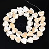 Natural Trochid Shell/Trochus Shell Bead Strands SSHEL-N034-92A-01-2