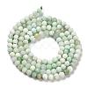 Natural Green Opal Beads Strands G-Z035-A02-02B-3