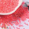 Glass Seed Beads X-SEED-S042-13A-07-1