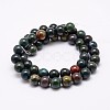 Natural Indian Bloodstone Beads Strands X-G-P257-07-8mm-2