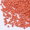 Baking Paint Cylinder Seed Beads SEED-Q036-02A-D13-3