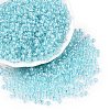 6/0 Transparent Inside Colours Glass Seed Round Beads SEED-N006-004B-1