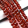 Dyed & Heated Natural Carnelian Beads Strands G-G177-I01-01-2