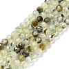 Natural Prehnite Beads Strands G-C009-A20-1