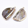 Natural Freshwater Shell Pendants SHEL-R048-08-2