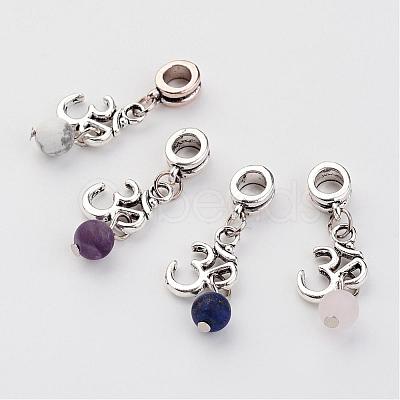 Natural Gemstone European Dangle Charms PALLOY-JF00224-1