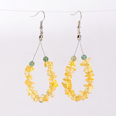 Natural  Gemstone Dangle Earrings EJEW-JE01411-1