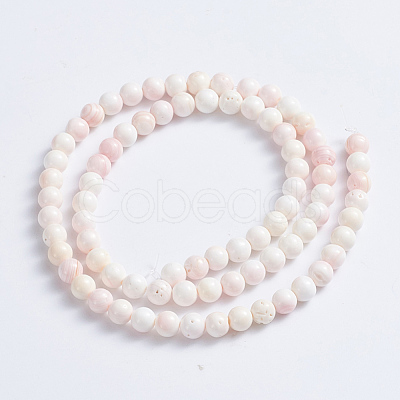 Natural Pink Shell Beads Strands X-SSHEL-L016-18A-1