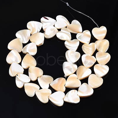 Natural Trochid Shell/Trochus Shell Bead Strands SSHEL-N034-92A-01-1